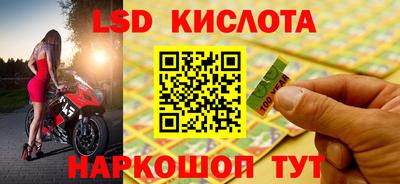 прущие грибы Тула