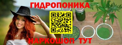 прущие грибы Тула